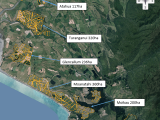 Turanganui Romneys - Map of the property