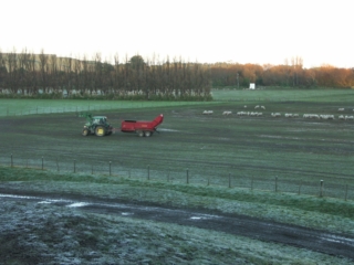 Turanganui Romneys - One of the paddocks