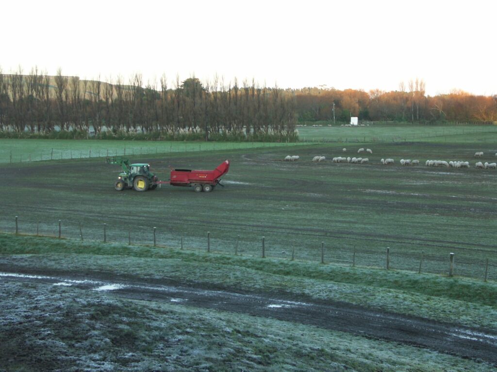 Turanganui Romneys - Farm